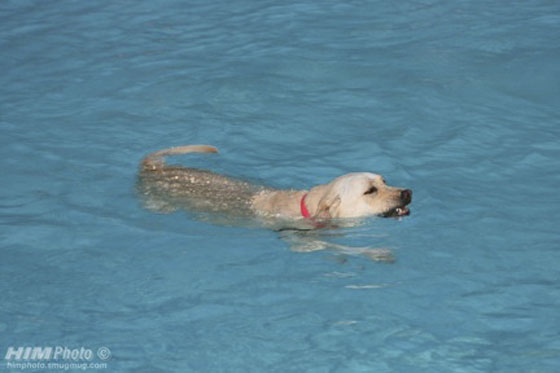 Night Party, September 26 2009